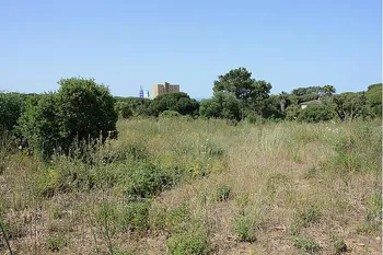 Plot in Marbella - M162329