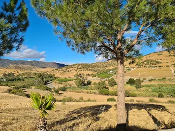 Finca / Propiedad rural en Pizarra - M186929